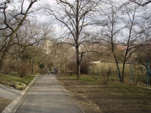 Walking path on Gellért Hill